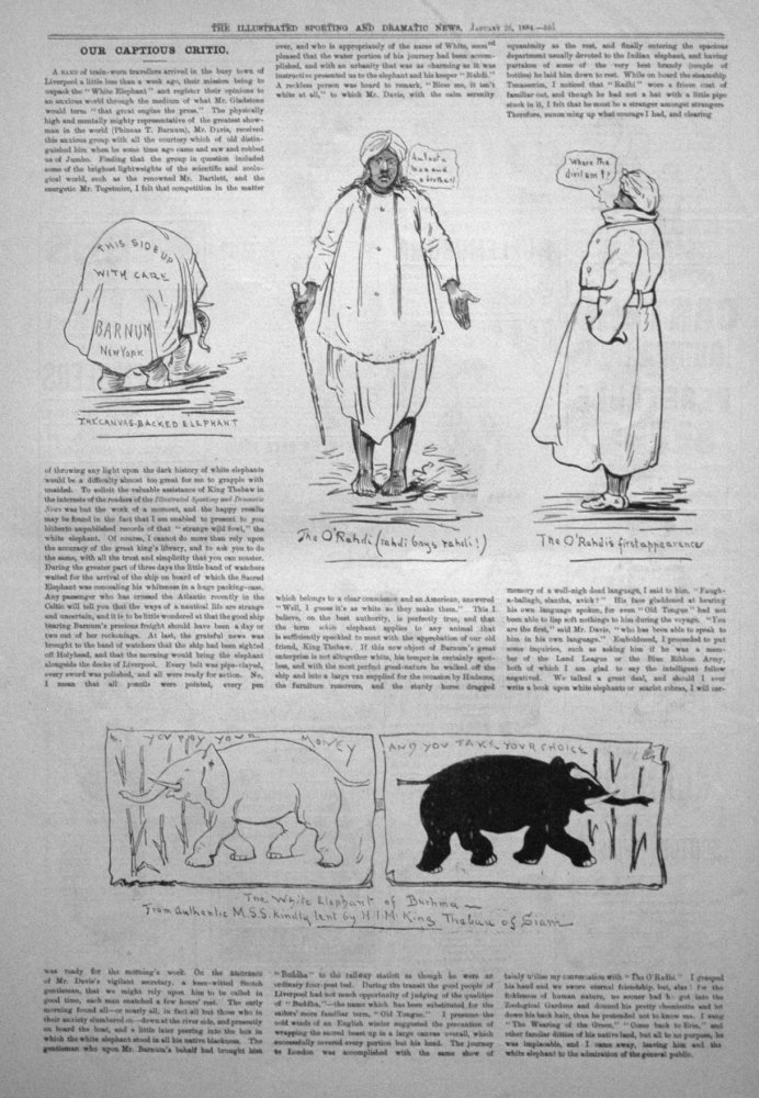 Our Captious Critic, January 26th 1884.  :  "White Elephant," and "The O'Rahdi".