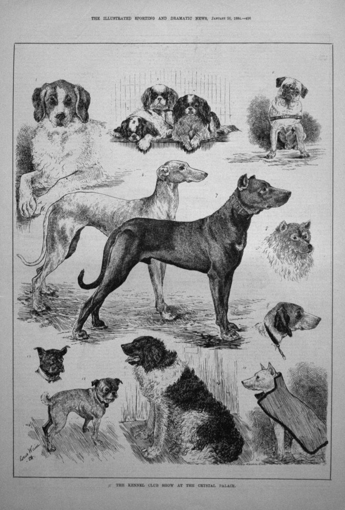 The Kennel Club Show at the Crystal Palace. 1884