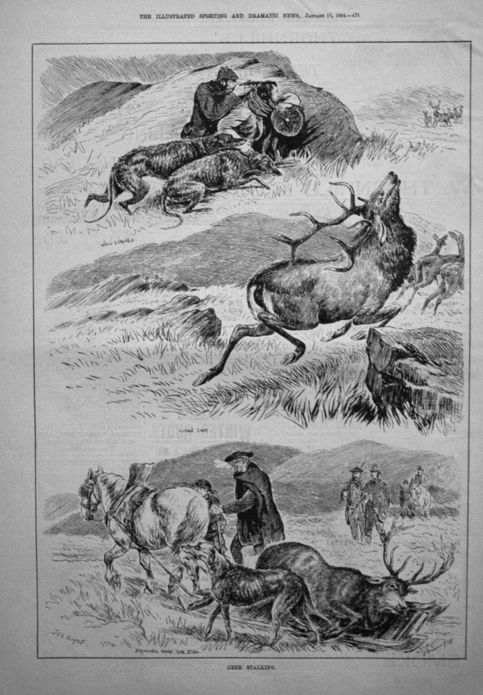 Deer Stalking. 1884