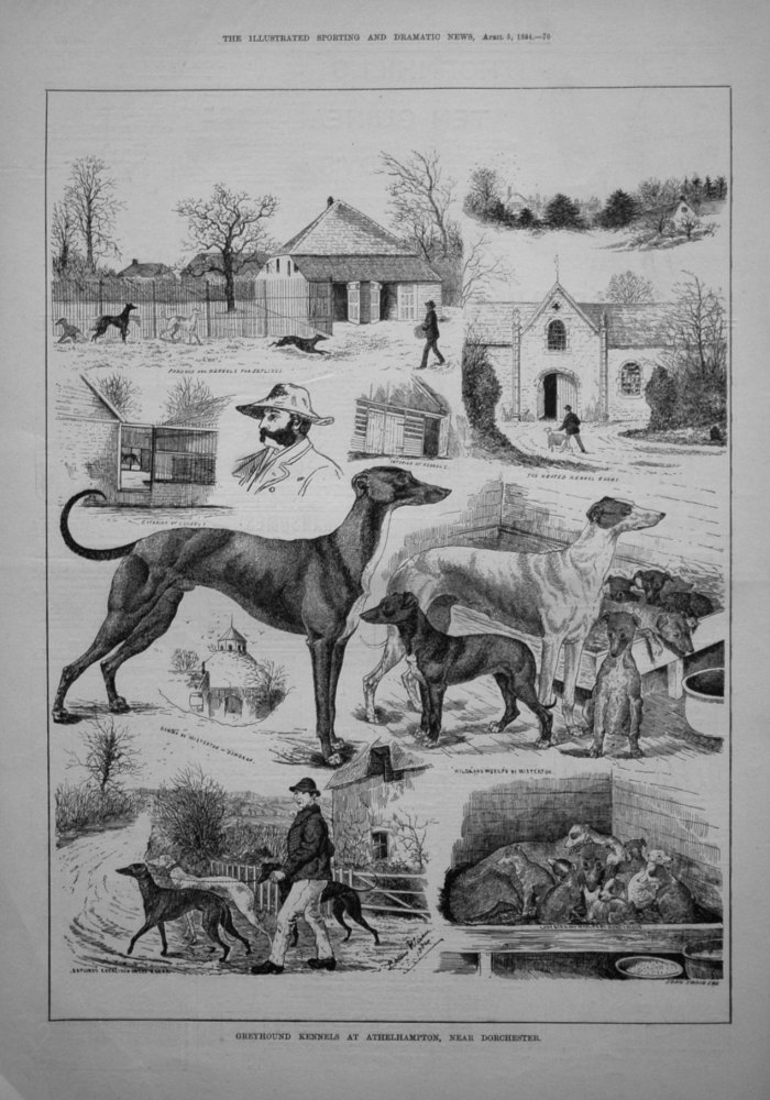 Greyhound Kennels at Athelhampton House, near Dorchester. 1884