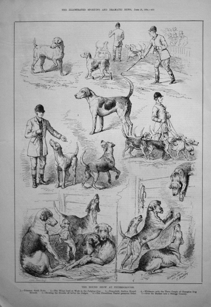 The Hound Show at Peterborough. 1884