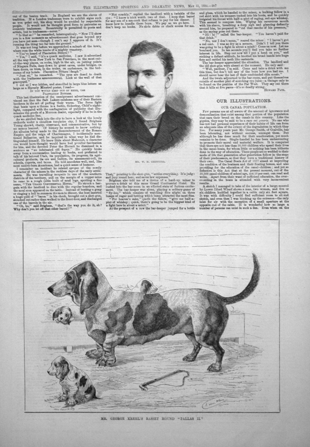 Mr. George Krehl's Basset Hound 