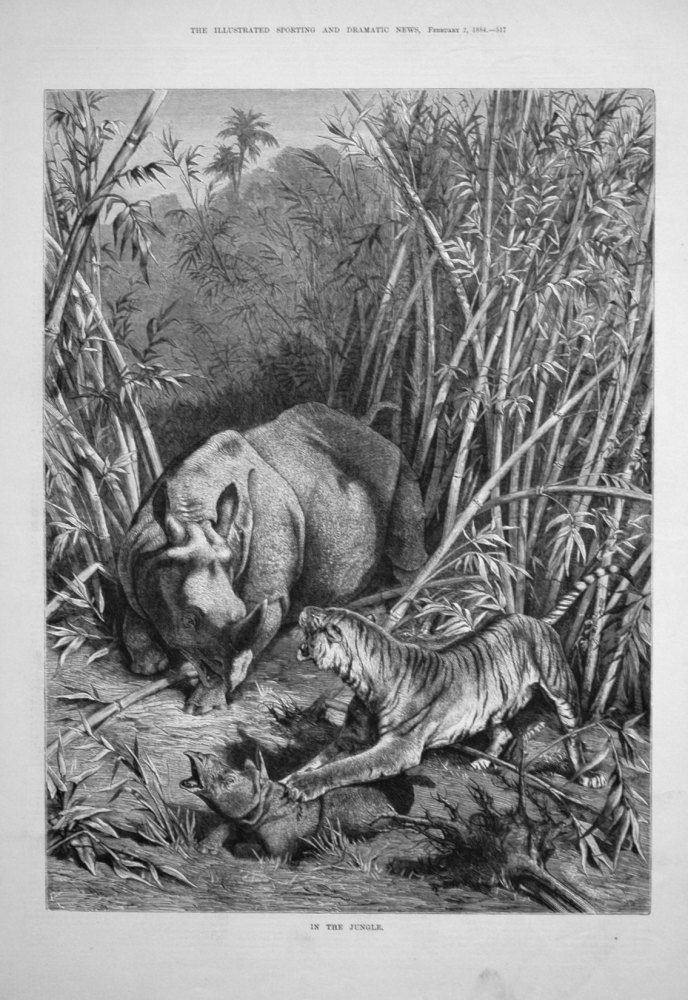 In the Jungle. 1884