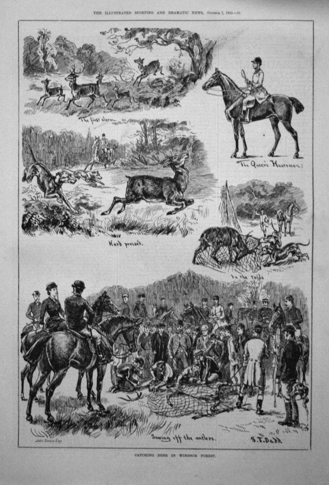 Catching Deer in Windsor Forest. 1882