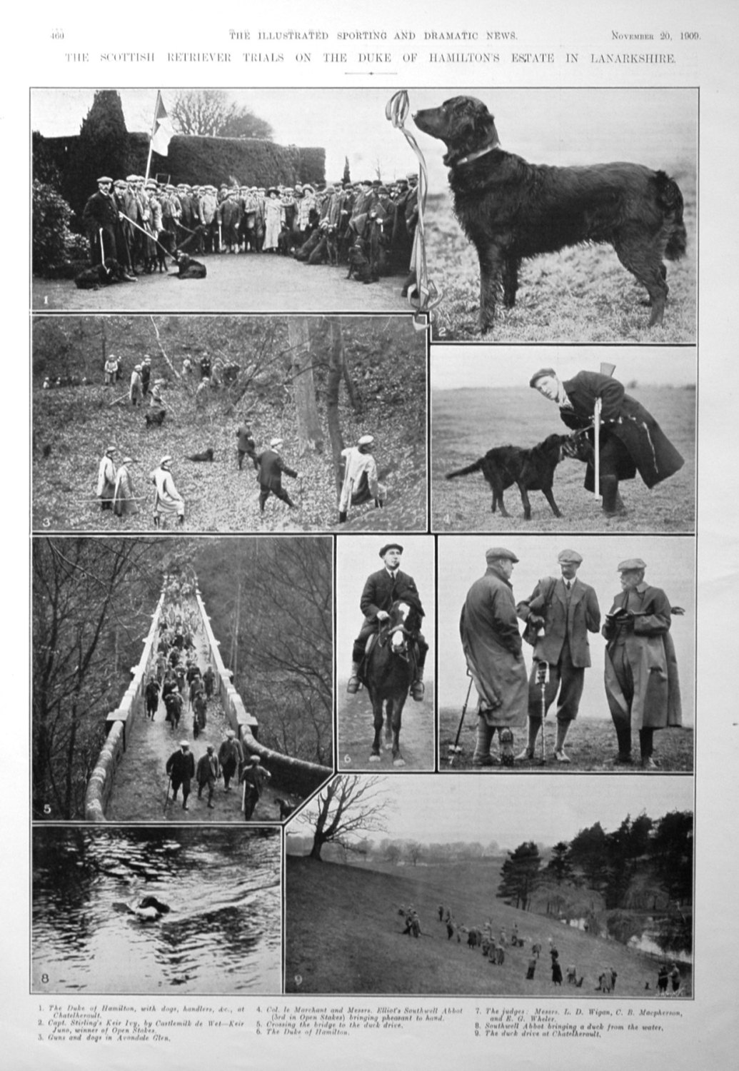 The Scottish Retriever Trials on the Duke of Hamilton's Estate in Lanarkshi