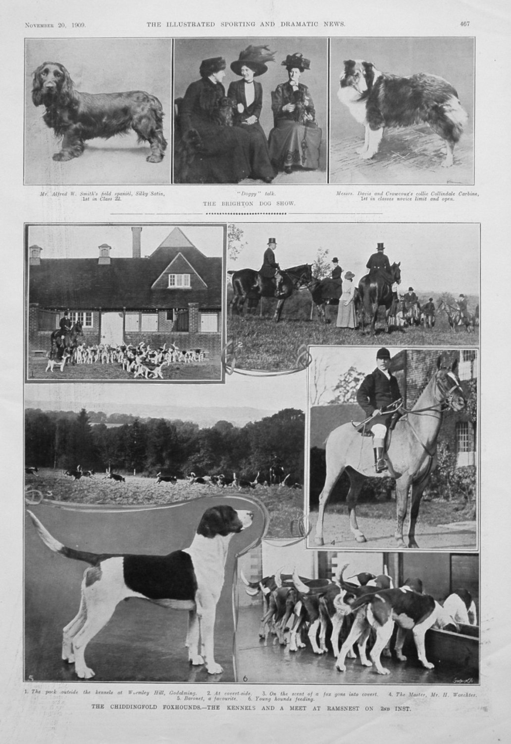 The Chiddingfold Foxhounds. - The Kennels and a Meet at Ramsnest on 2nd ins