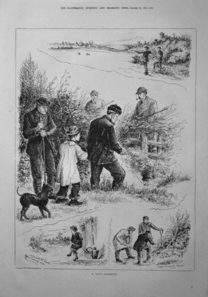 A Day's Rabbiting. 1881