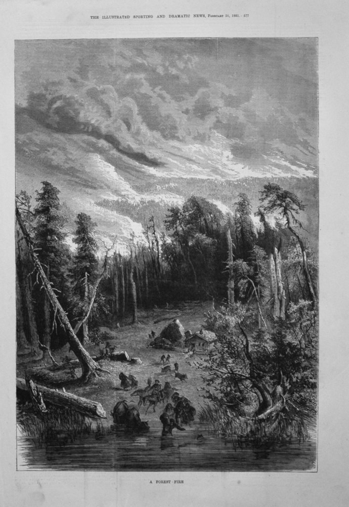 A Forest Fire. 1881