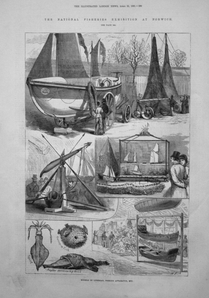 The National Fisheries Exhibition at Norwich. 1881