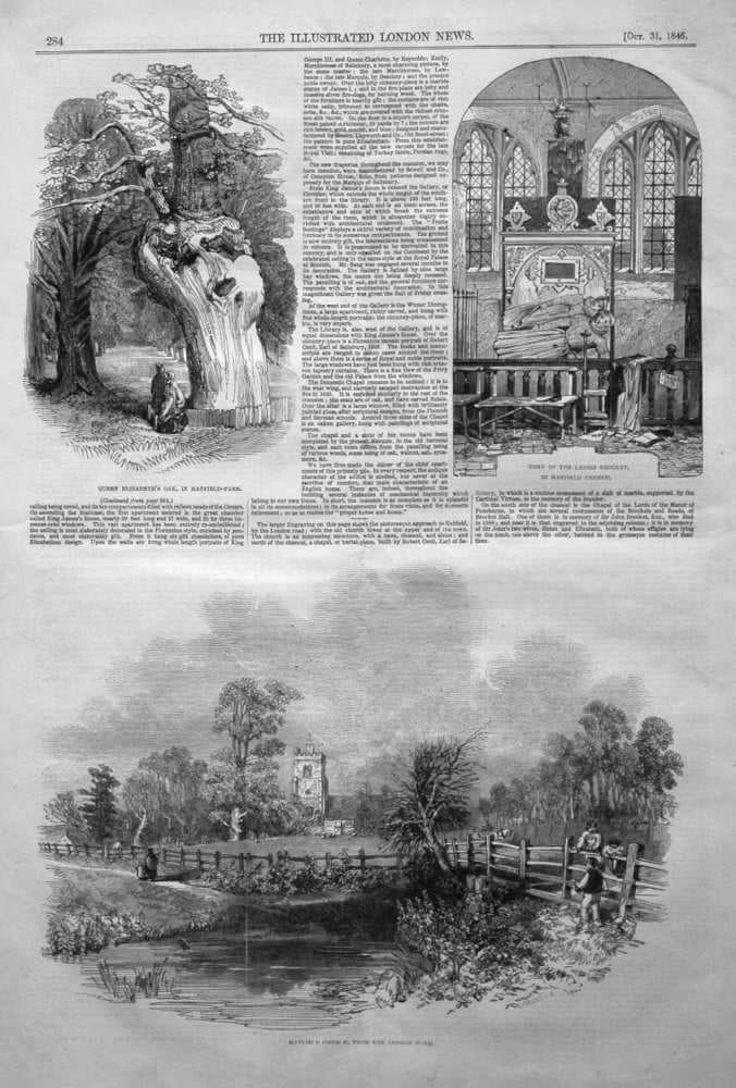 Queen Elizabeth's Oak in Hatfield Park. 1846