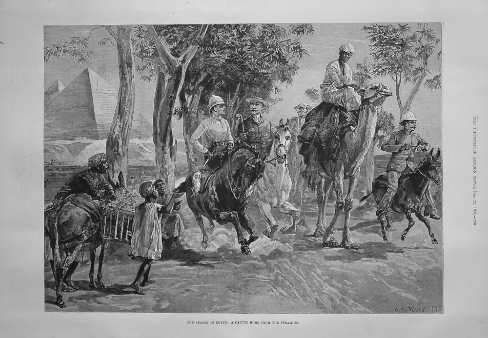 The Season in Egypt : A Canter Home from the Pyramids. 1896