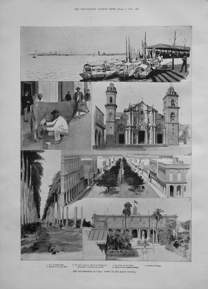 The Insurrection in Cuba : Views in and about Havana. 1896