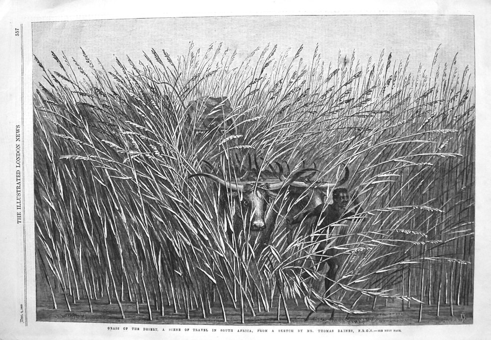 Grass of the Desert, a Scene of Travel in South Africa, from a sketch by Mr. Thomas Baines, F.R.G.S. 1865.