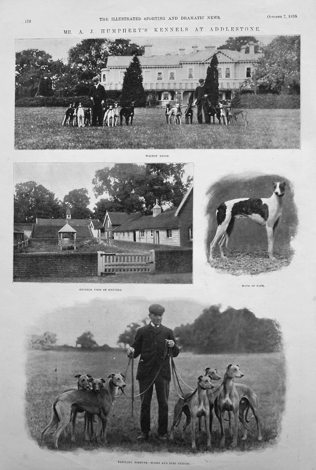 Mr. A.J. Humphery's Kennels at Addlestone. 1899