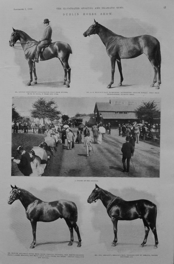 Dublin Horse Show. 1899