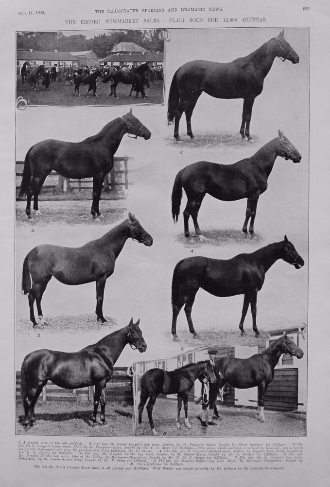 Record Newmarket Sales. - Flair sold for 15,000 Guineas. 1909
