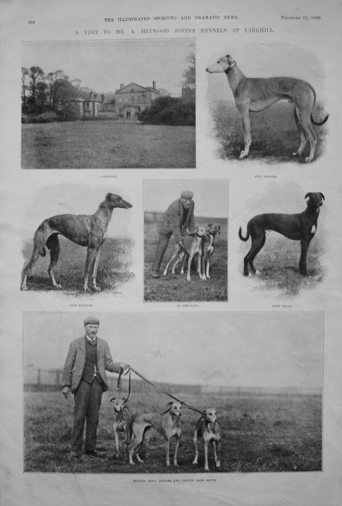 A Visit to Mr. A Heywood Jones's Kennels at Larkhill. 1899