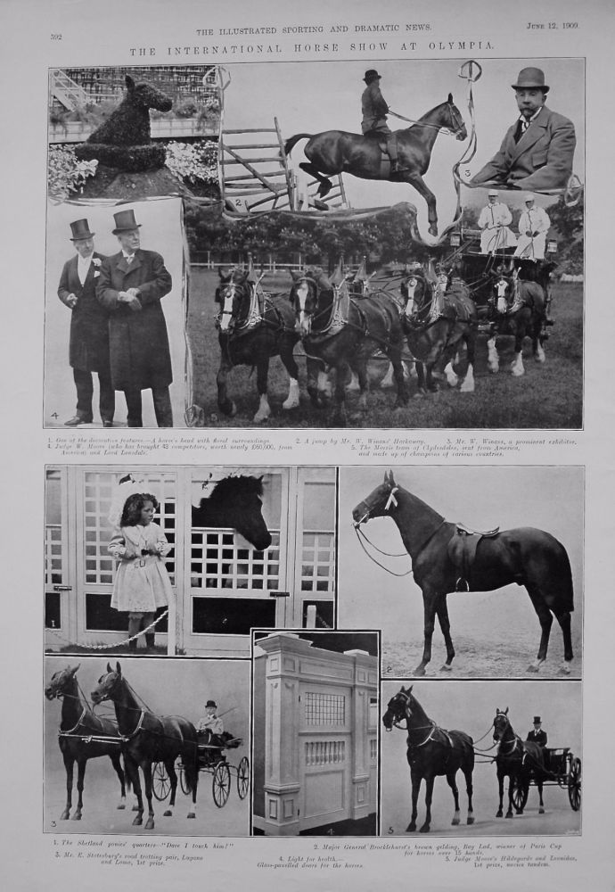 International Horse Show at Olympia. 1909