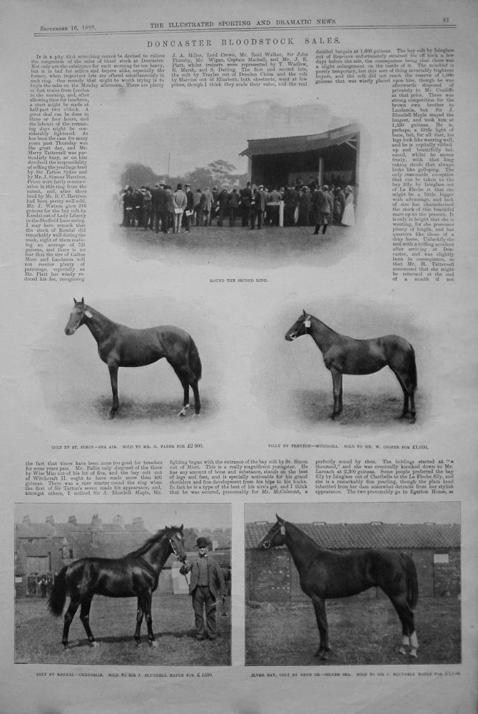 Doncaster Bloodstock Sales. 1899