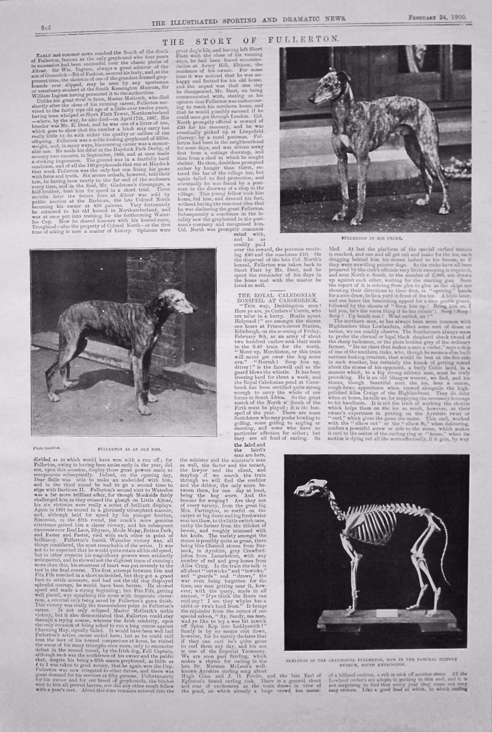 The Story Of Fullerton. (Greyhound) 1900