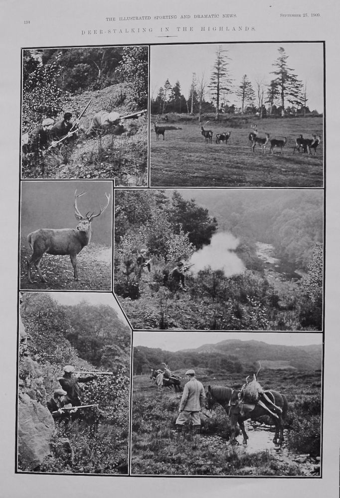 Deer-Stalking in the Highlands. 1909