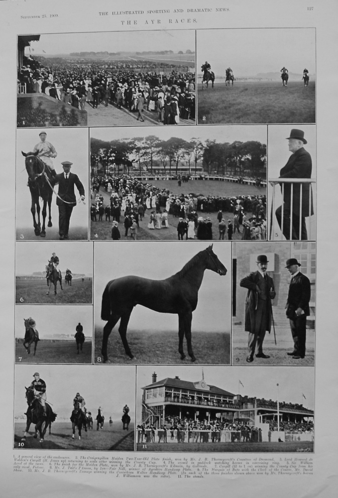 Ayr Races. 1909