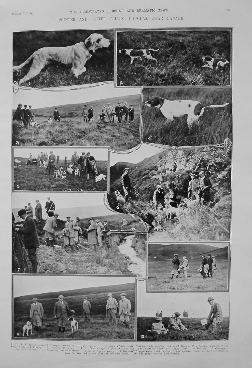 Pointer and Setter Trials, Douglas, near Lanark. 1909