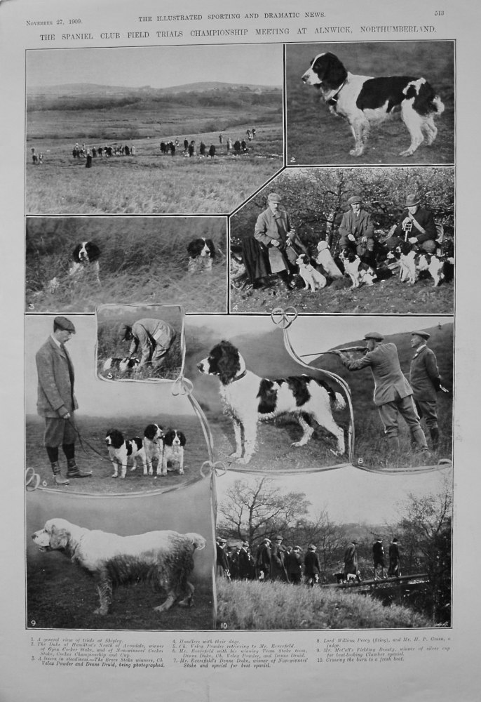 Spaniel Club Field Trials Championship Meeting at Alnwick, Northumberland. 1909