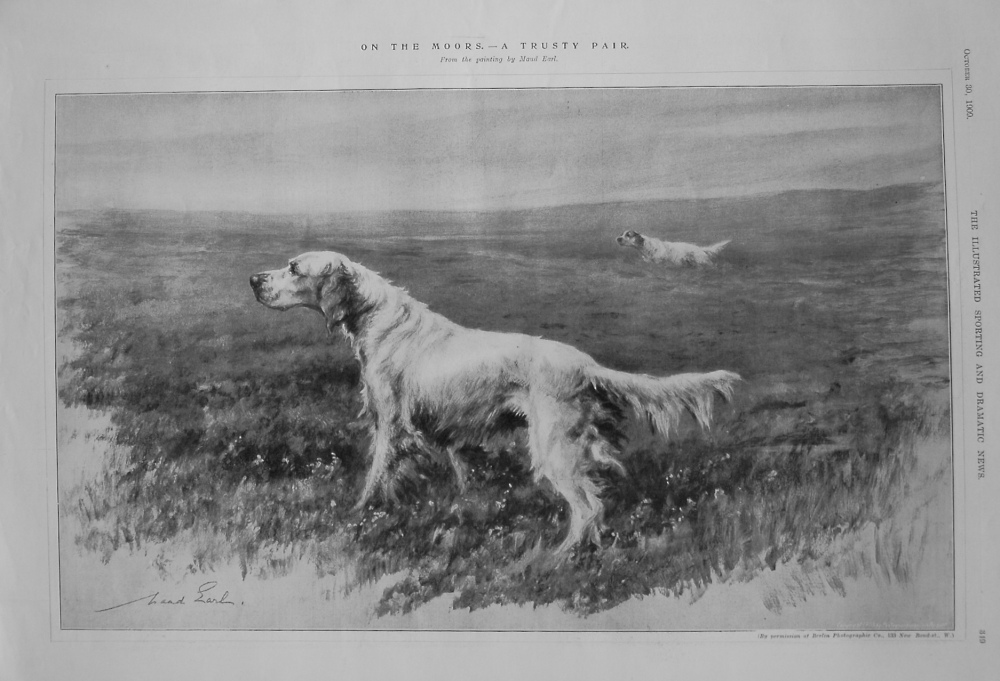 On the Moors. - A Trusty Pair. 1909