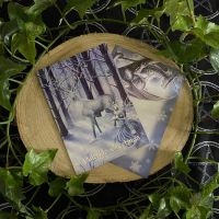 Frozen Fantasy ~  Yule Card by Anne Stokes