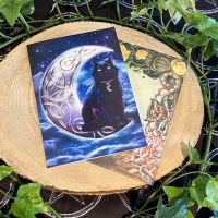 Celtic Black Cat ~ Greeting Card by Brigid Ashwood