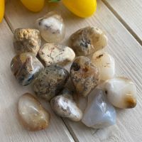 Opal (Dendrite)  Tumble Stone
