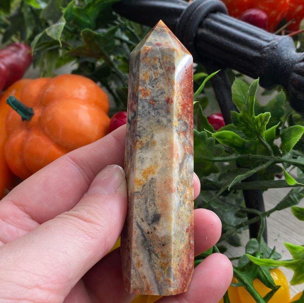 Crazy Lace Agate Point ~ #B2