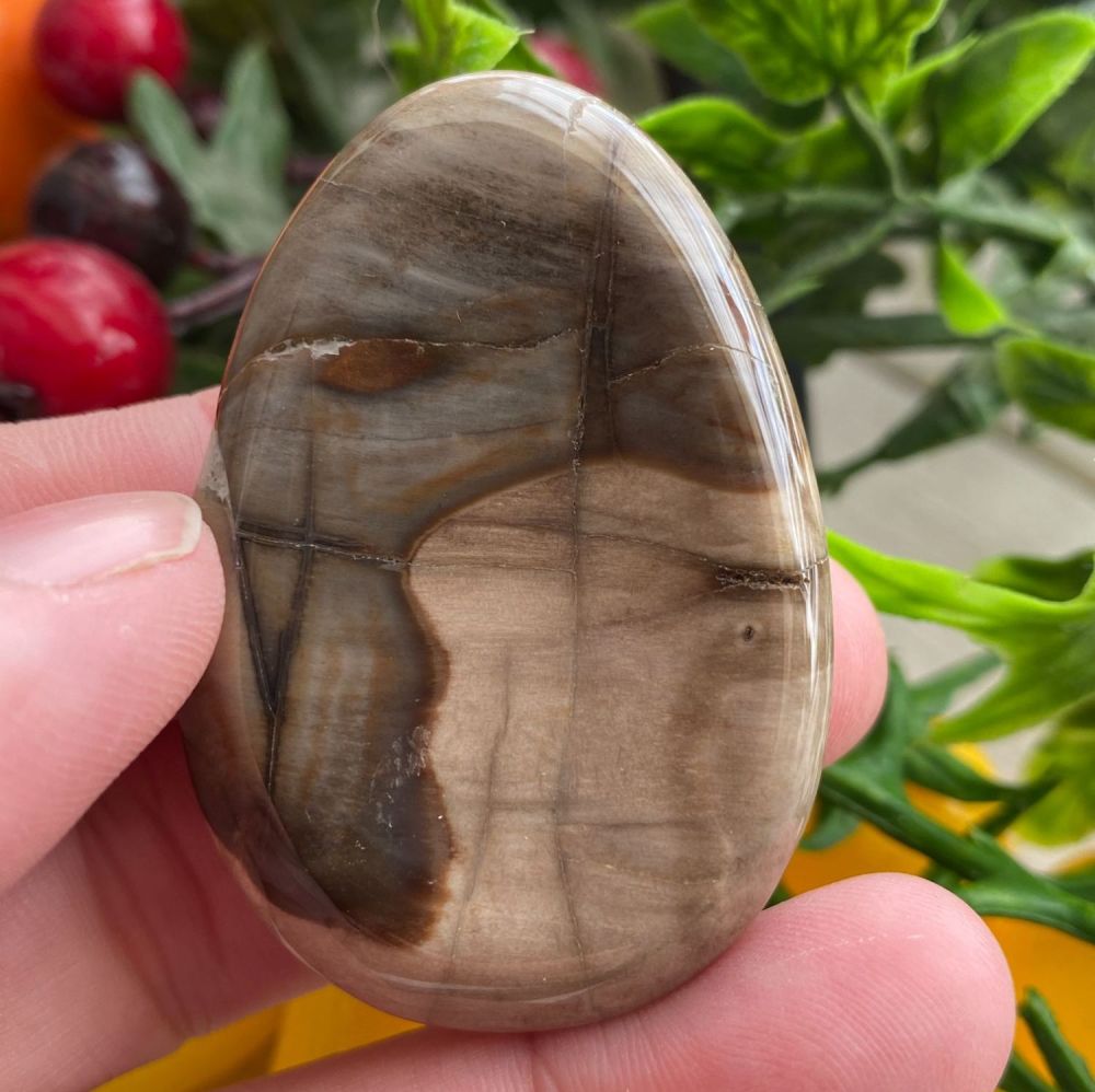 Petrified Wood Thumb Stone #P2