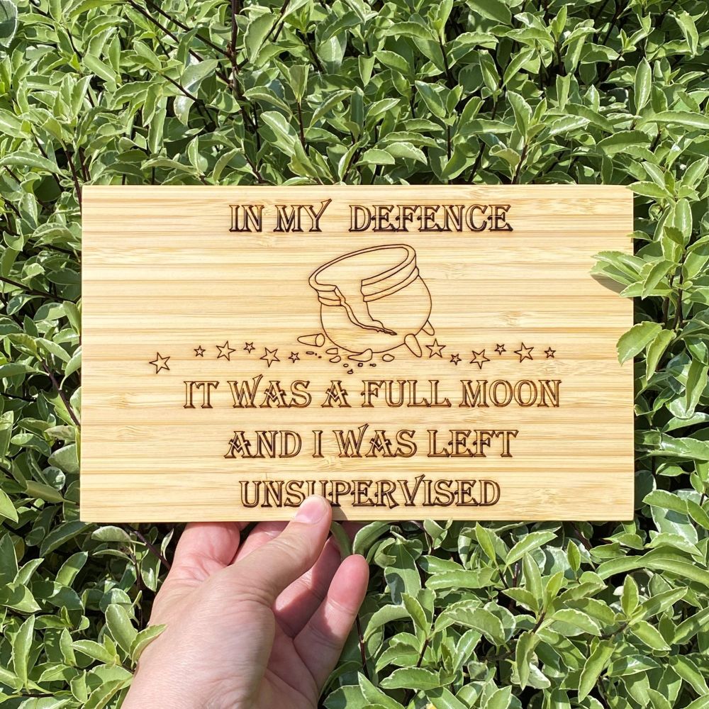 In My Defence ... Hanging  Wooden Sign ~ SALE