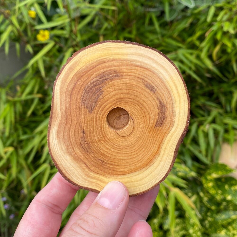 Handcrafted Simple Yew  Wood Candle Holder ~ #3