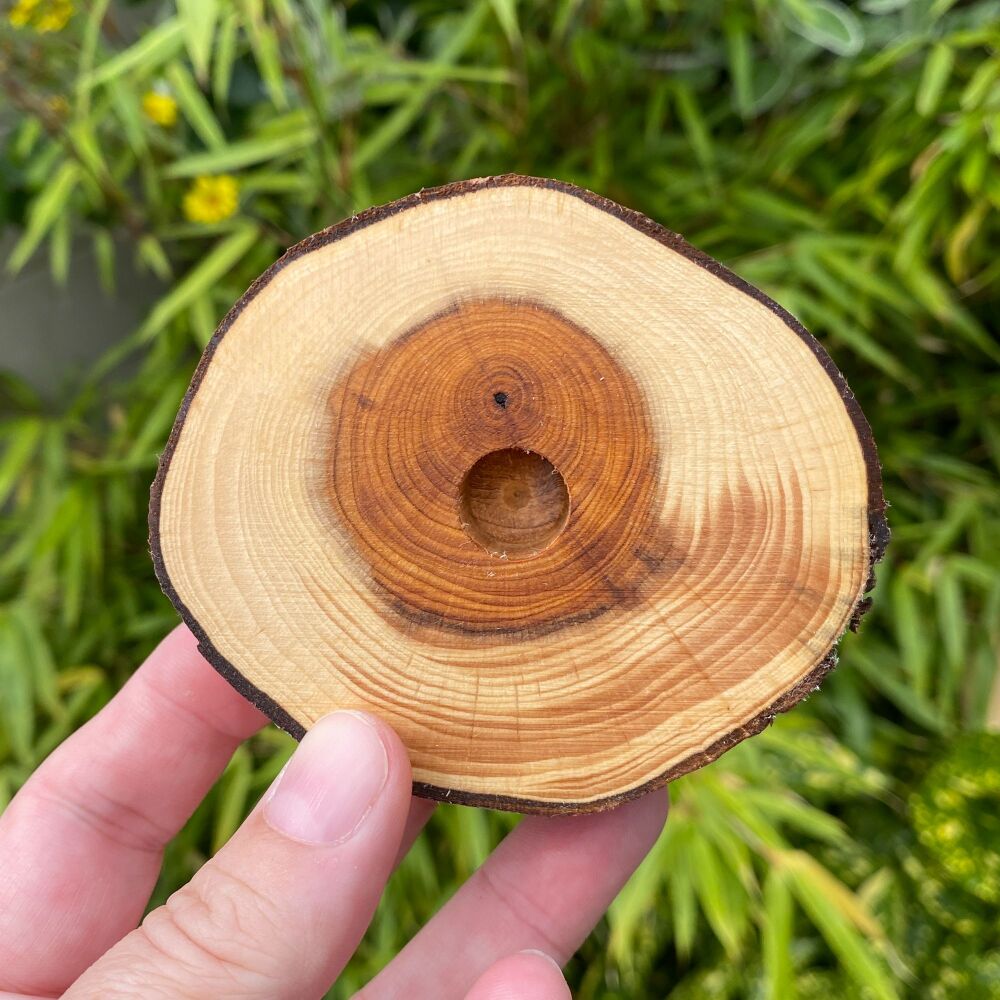 Handcrafted Simple Yew  Wood Candle Holder ~ #4