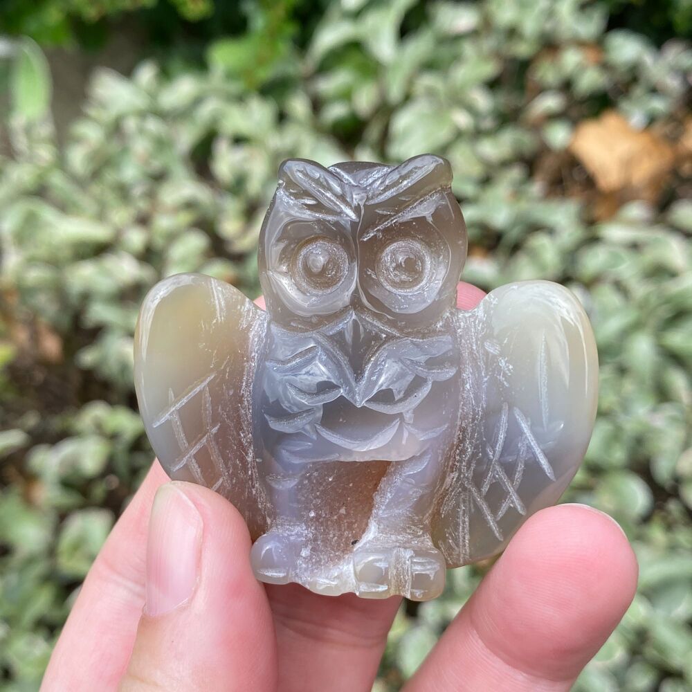 Agate Carved Owl with Druze ~ #O3