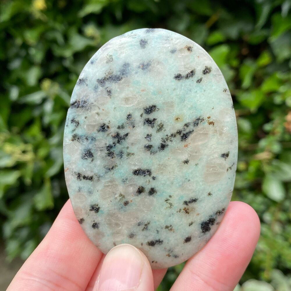 Kiwi Jasper Palm Stone ~ #2