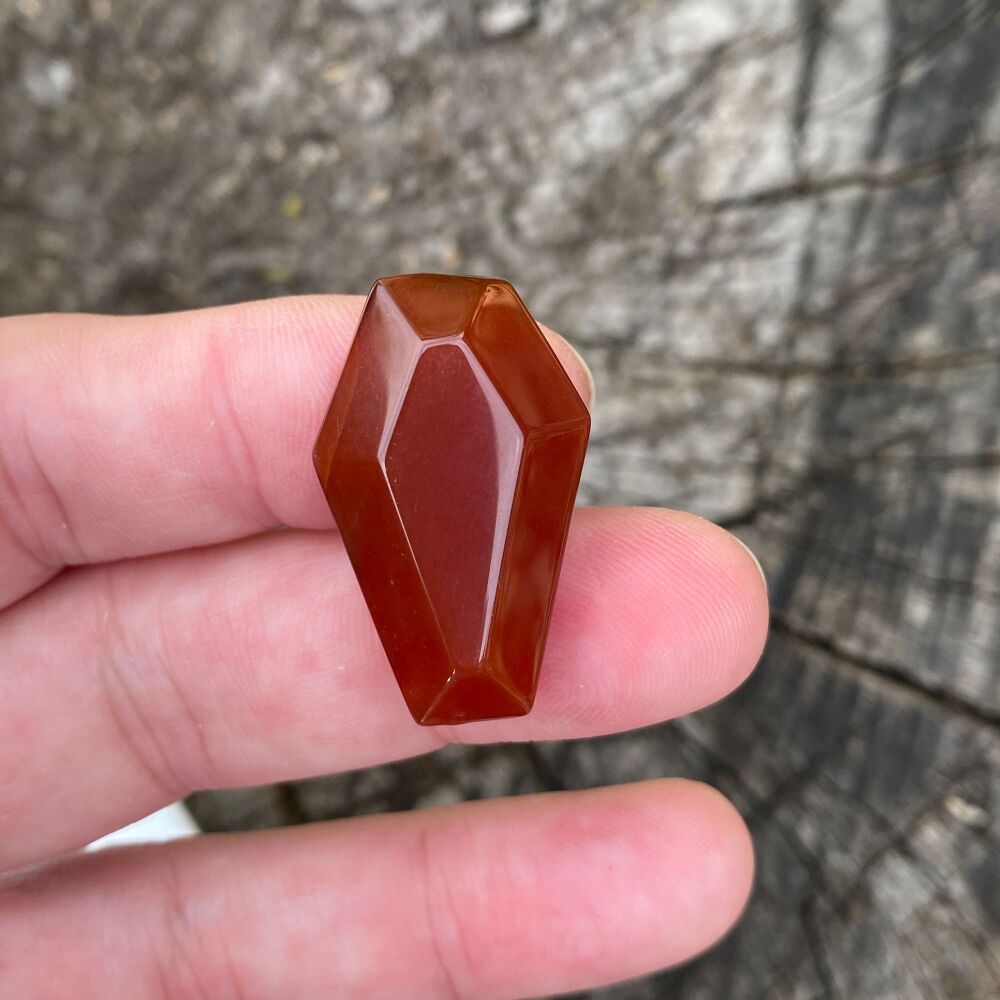 Carved Crystal Coffin ~ Carnelian ~ #1