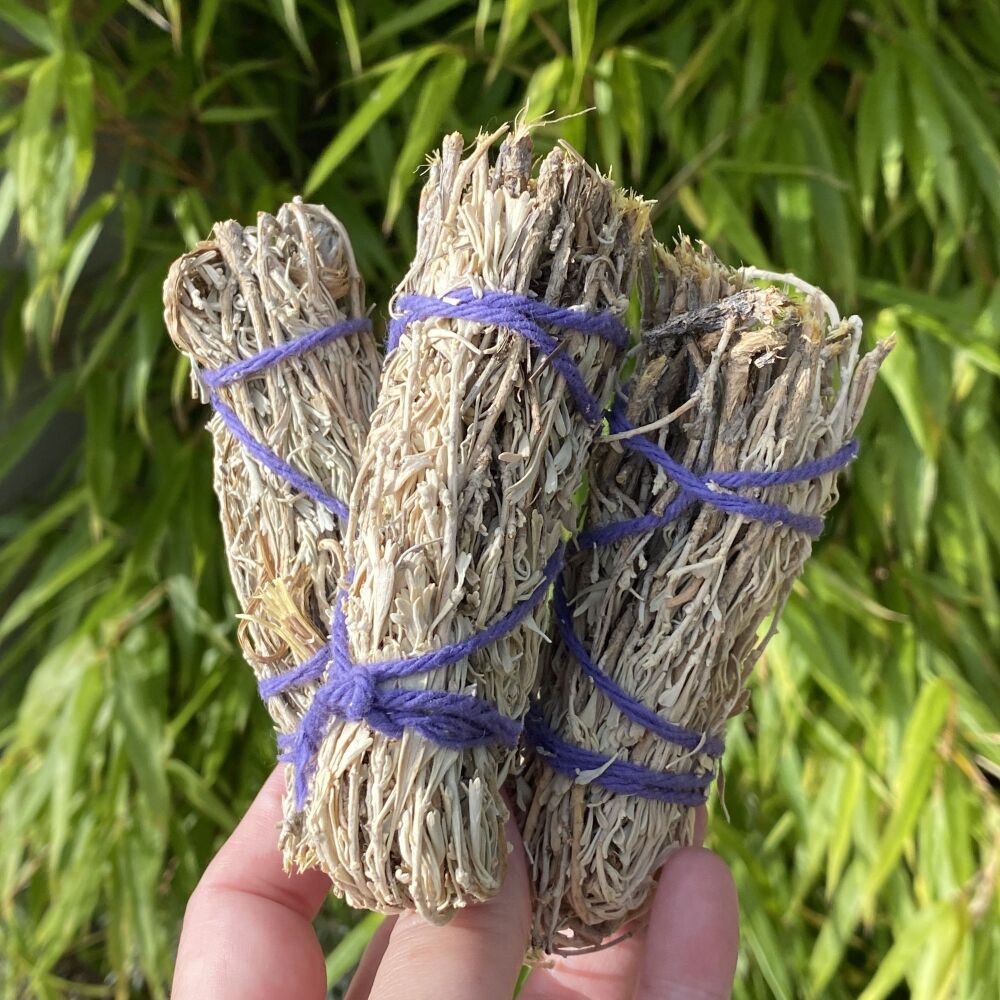 Farm Grown Sage Smudge Sticks ~ Pack of 3