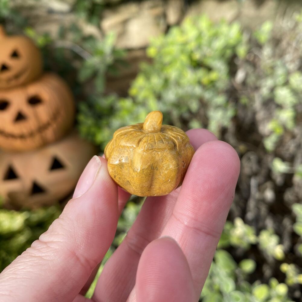 Carved Crystal Pumpkin ~ Picture Jasper #1