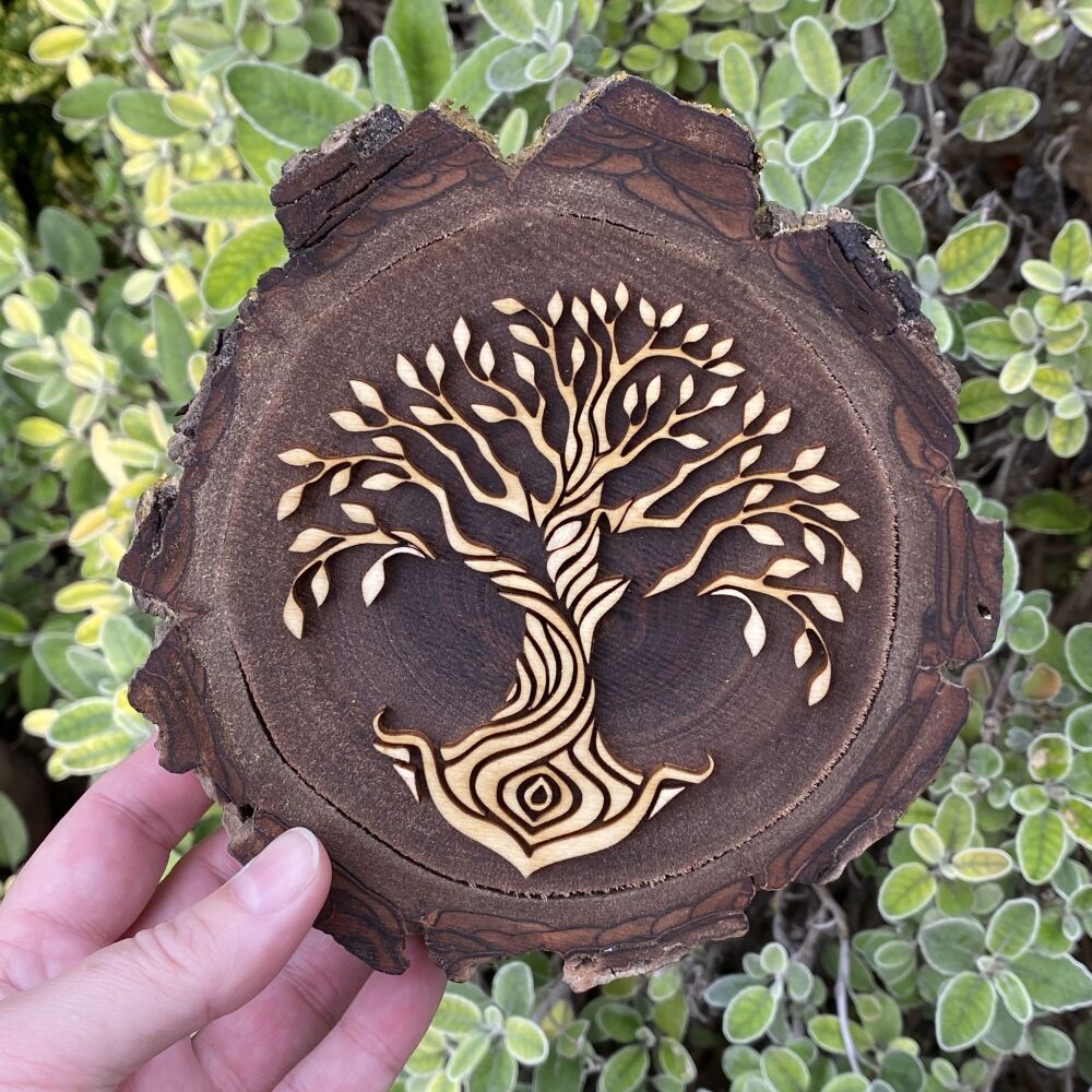 A stunning large chunk of Walnut wood with Tree of Life design