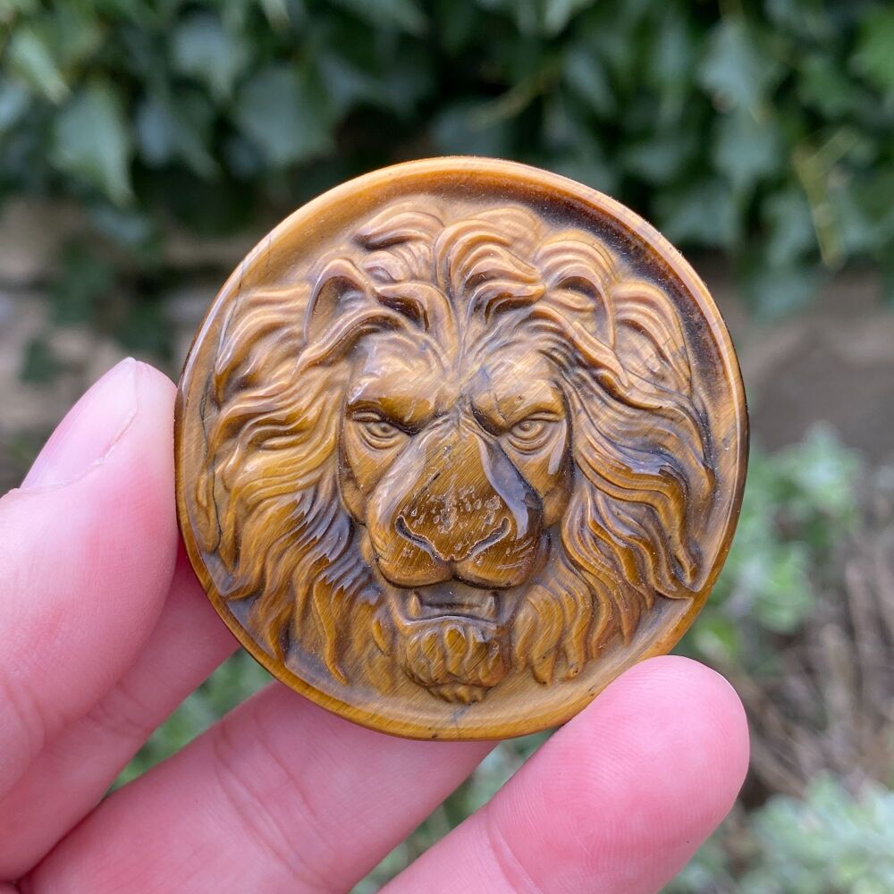 Tiger Eye Carved Lion