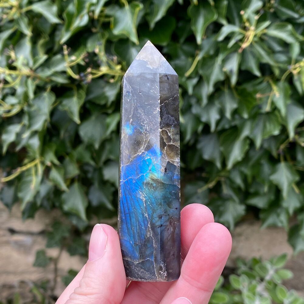 Labradorite Crystal Point ~ #2