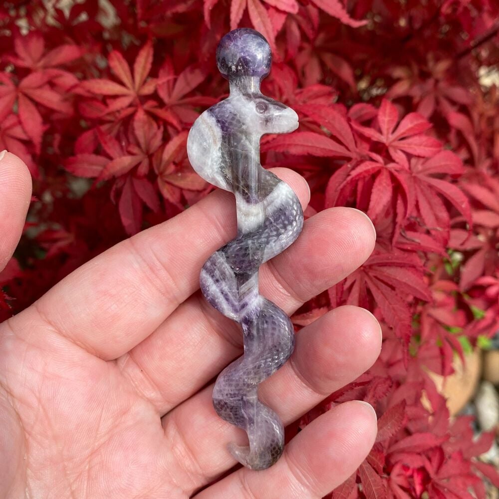 Serpent and Sceptre  Carving ~ Dog Tooth Amethyst ~ #1
