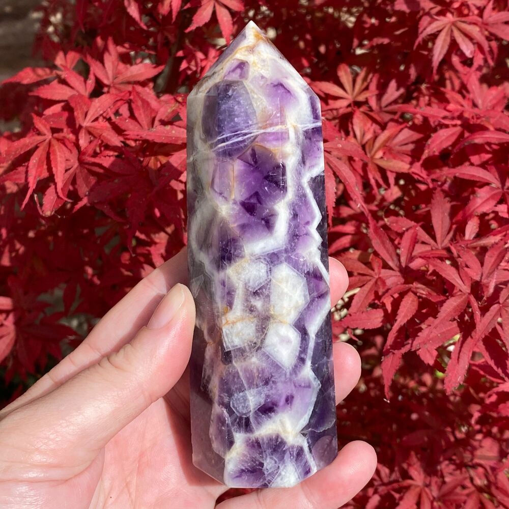 Amethyst Dog Tooth Large Point