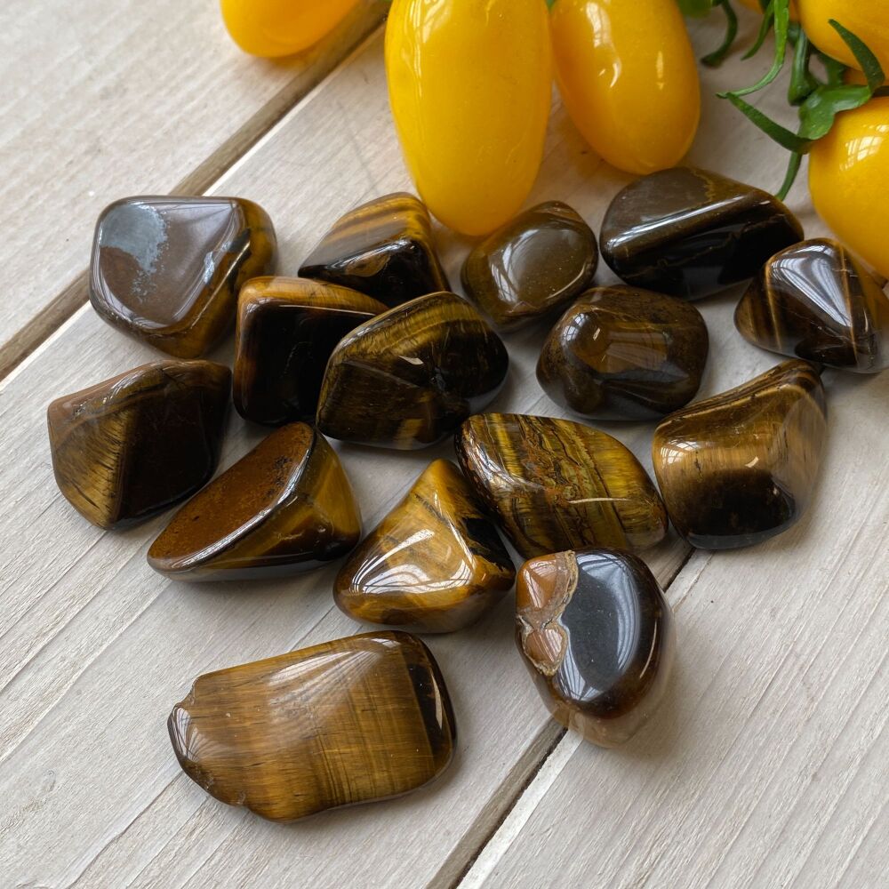 Tiger Eye - Gold