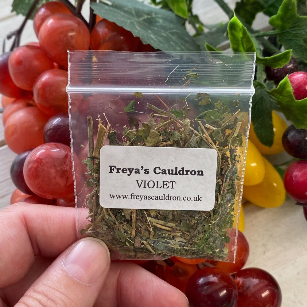 VIOLET HERB ~ Small Packet