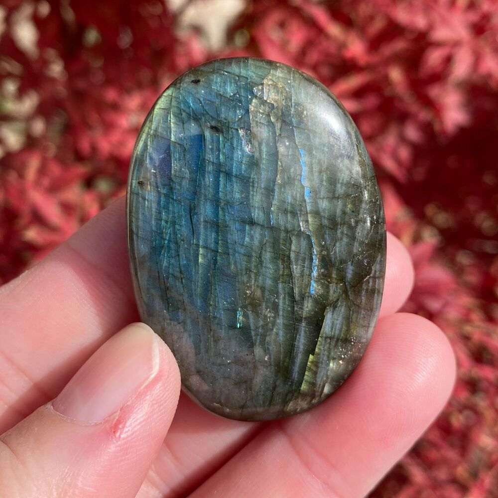 Labradorite Palm Stone ~ B